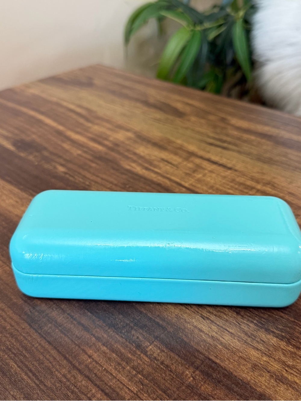 Tiffany & Co. Turquoise Hard Jewelry Case
